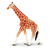 Reticulated Giraffe