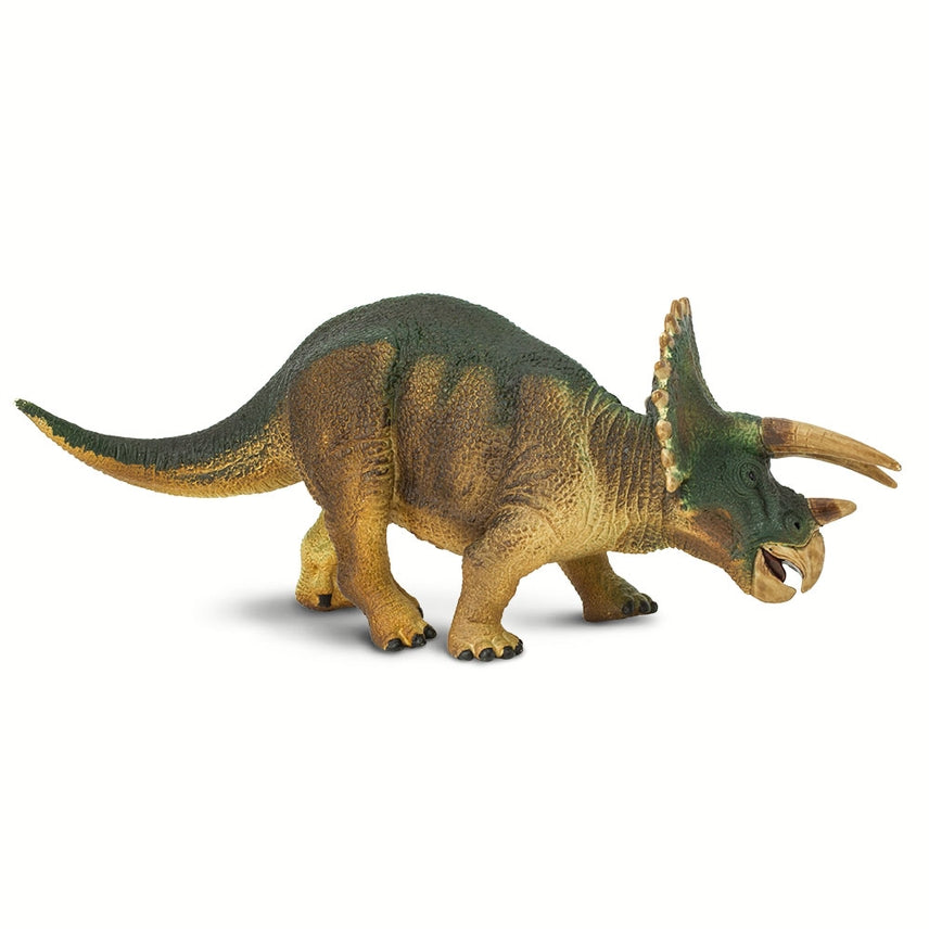 Triceratops