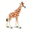 Reticulated Giraffe