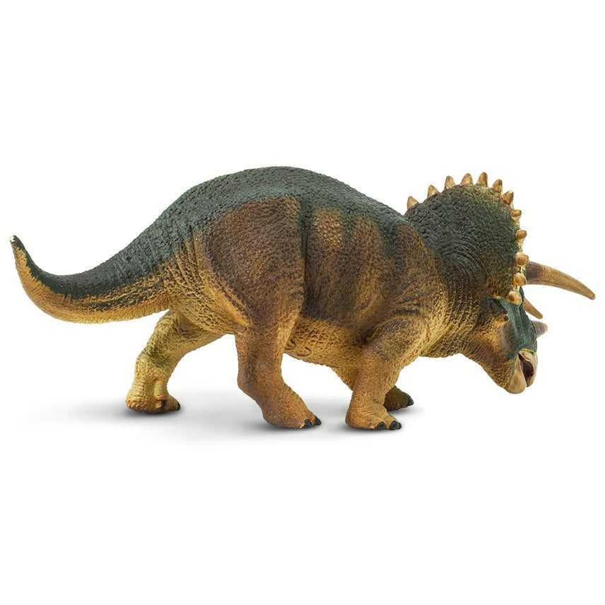 Triceratops