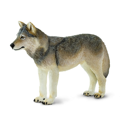 Gray Wolf