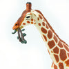 Reticulated Giraffe